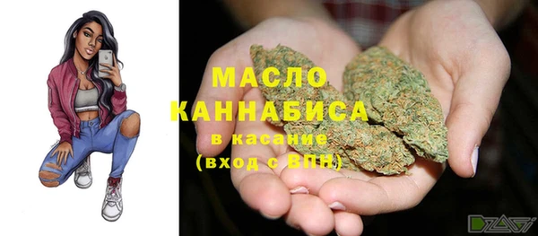 мет Гусев