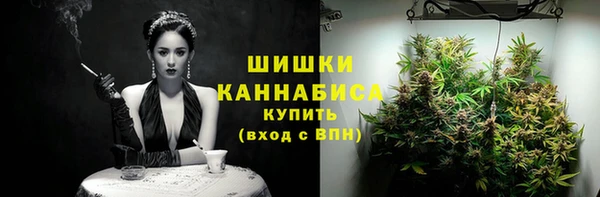 мет Гусев