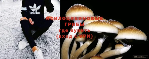 бутират Гусь-Хрустальный