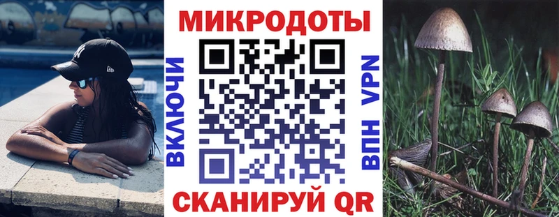 Купить  Камешково  Псилоцибиновые грибы мухоморы 
